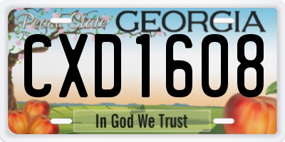 GA license plate CXD1608