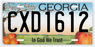 GA license plate CXD1612