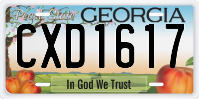 GA license plate CXD1617