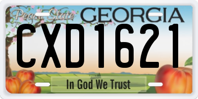 GA license plate CXD1621