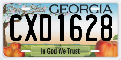 GA license plate CXD1628