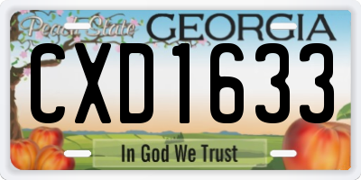 GA license plate CXD1633