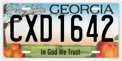 GA license plate CXD1642