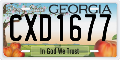 GA license plate CXD1677