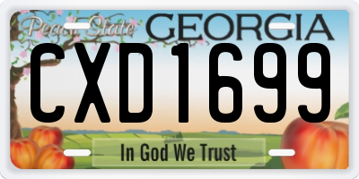 GA license plate CXD1699