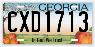 GA license plate CXD1713