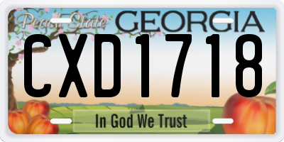 GA license plate CXD1718