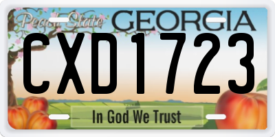 GA license plate CXD1723