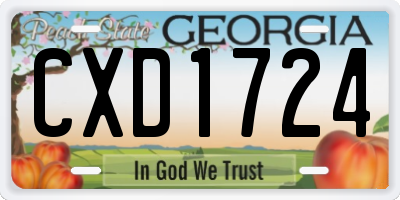 GA license plate CXD1724