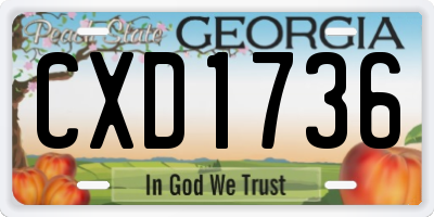 GA license plate CXD1736