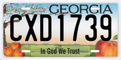 GA license plate CXD1739