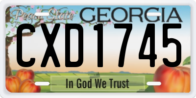 GA license plate CXD1745