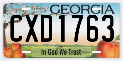 GA license plate CXD1763