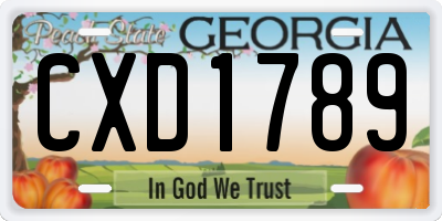 GA license plate CXD1789