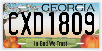 GA license plate CXD1809