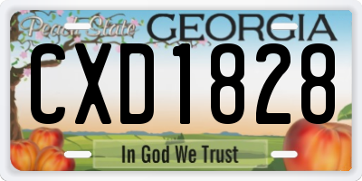 GA license plate CXD1828