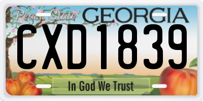 GA license plate CXD1839