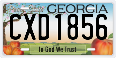 GA license plate CXD1856