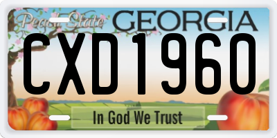 GA license plate CXD1960