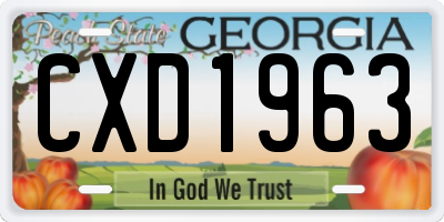GA license plate CXD1963