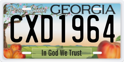 GA license plate CXD1964