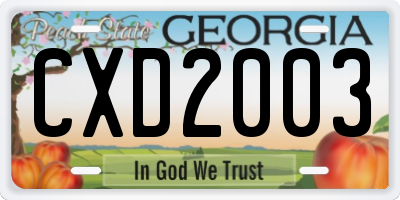 GA license plate CXD2003