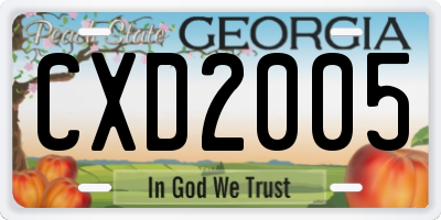 GA license plate CXD2005