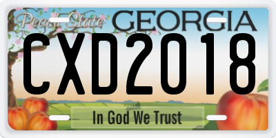GA license plate CXD2018