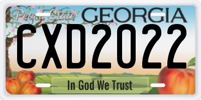 GA license plate CXD2022