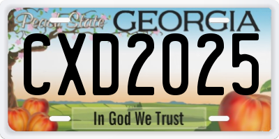 GA license plate CXD2025