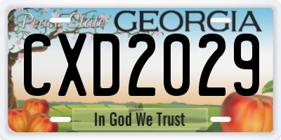GA license plate CXD2029
