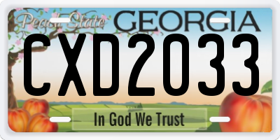 GA license plate CXD2033
