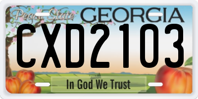 GA license plate CXD2103