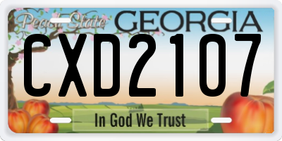 GA license plate CXD2107