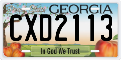 GA license plate CXD2113