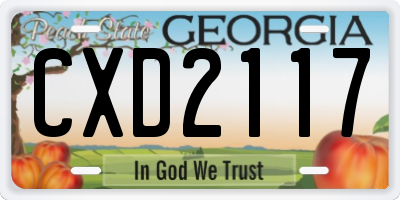 GA license plate CXD2117