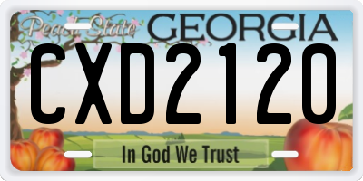 GA license plate CXD2120