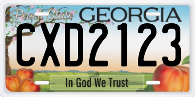 GA license plate CXD2123