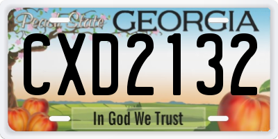 GA license plate CXD2132