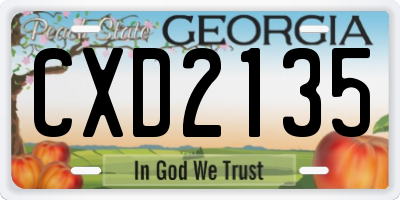 GA license plate CXD2135