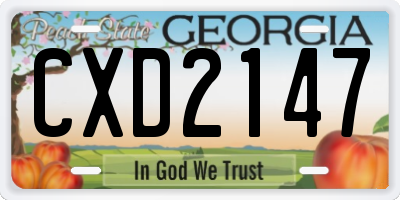 GA license plate CXD2147