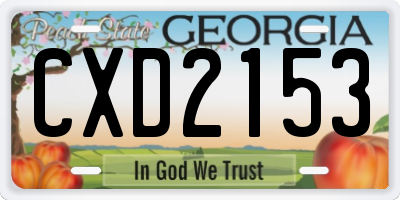 GA license plate CXD2153