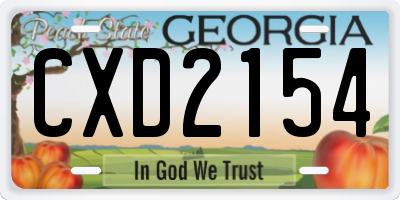 GA license plate CXD2154