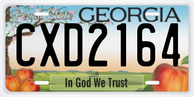 GA license plate CXD2164