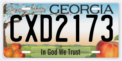 GA license plate CXD2173