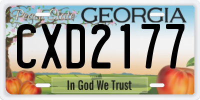 GA license plate CXD2177