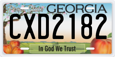GA license plate CXD2182