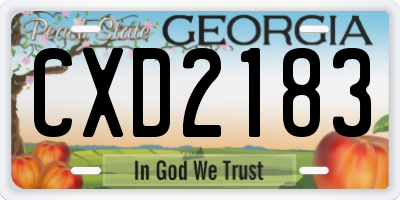 GA license plate CXD2183