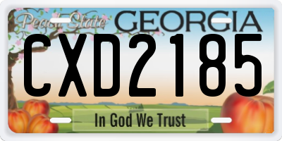 GA license plate CXD2185