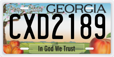 GA license plate CXD2189